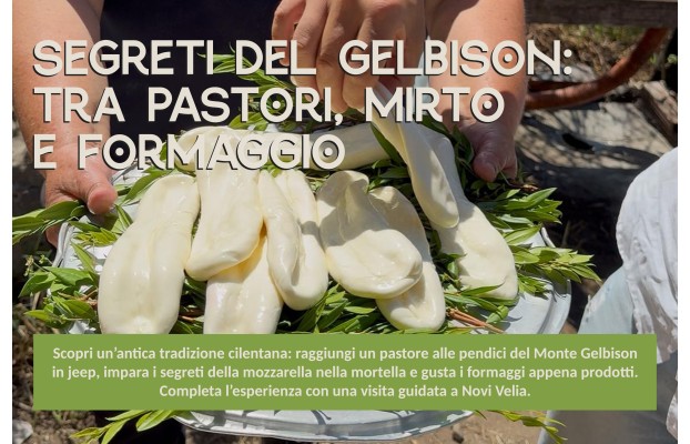 Segreti del Gelbison: tra pastori, mirto e...